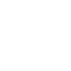 The Money Mentors logo
