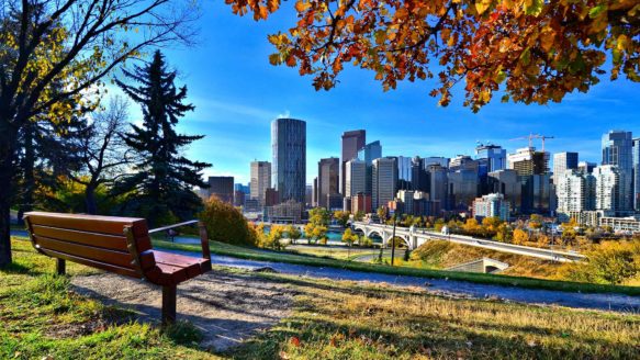 An empty bench in a park overlooking the city of Calgary in fall