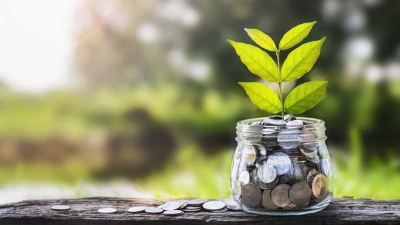 A jar full of coins with a bright green plant growing out of it with a background of nature